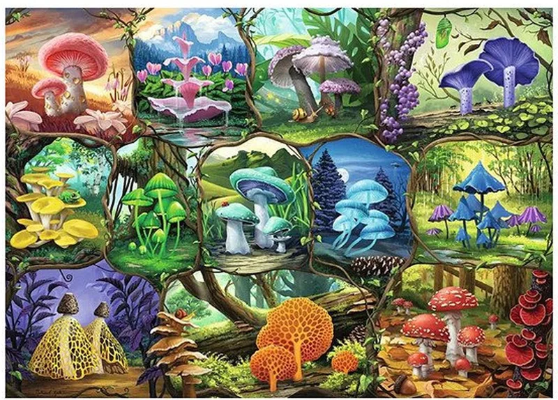 puzzel prachtige paddenstoelen - 1000 stukjes legpuzzel. van Ravensburger, editie Meerkleurig – doos