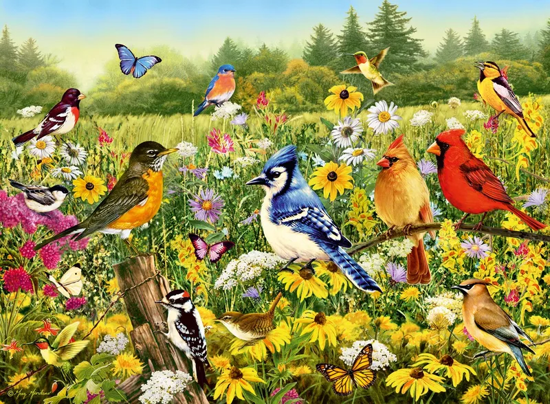 Puzzle Oiseaux Dans Le Pré (12000336) 500 Pièces de Ravensburger, édition Multicolore – boîte 2 sur 2