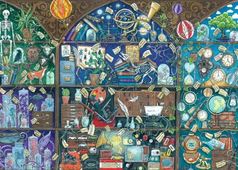 Puzzle Cabinet de Curiosités - 1000 pièces de Ravensburger – boîte