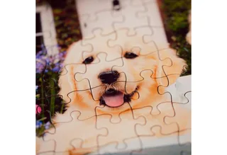 Puzzle Feel Well & Puzzle, Golden Retriever, 200 Puzzleteile, XL, für Erwachsene, Made in Europe de Ravensburger, édition Multicolore – boîte 4 sur 5