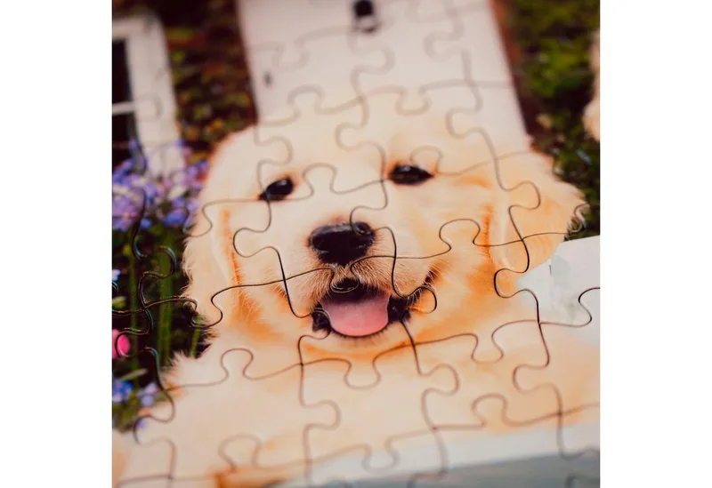 Puzzle Feel Well & Puzzle, Golden Retriever, 200 Puzzleteile, XL, für Erwachsene, Made in Europe de Ravensburger, édition Multicolore – boîte 4 sur 5