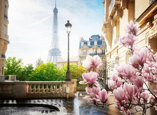 Puzzle Frühling in Paris, 500 Puzzleteile, Made in Germany from Ravensburger, Multicolour edition – box 2 of 2