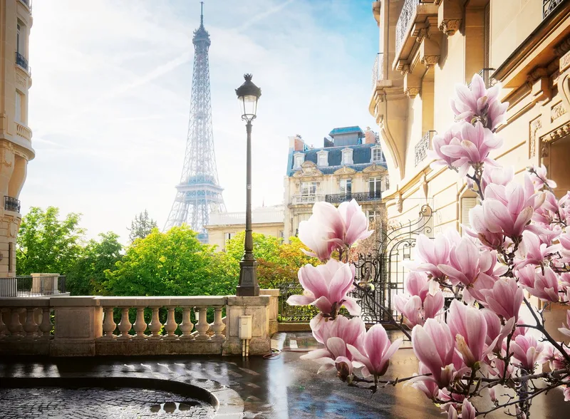 Puzzle Frühling in Paris, 500 Puzzleteile, Made in Germany from Ravensburger, Multicolour edition – box 2 of 2