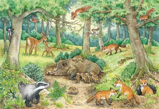 Puzzle Wieso? Weshalb? Warum? Junior, Tiere im Wald und auf der Wiese, 24 Puzzleteile, 2x12 Teile, Made in Europe from Ravensburger, Multicolour edition – box 2 of 5