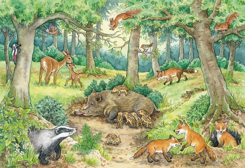 Puzzle Wieso? Weshalb? Warum? Junior, Tiere im Wald und auf der Wiese, 24 Puzzleteile, 2x12 Teile, Made in Europe from Ravensburger, Multicolour edition – box 2 of 5