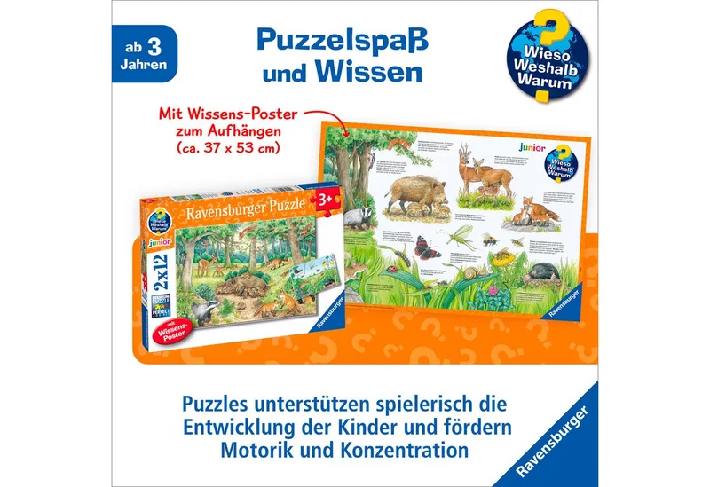 Puzzle Wieso? Weshalb? Warum? Junior, Tiere im Wald und auf der Wiese, 24 Puzzleteile, 2x12 Teile, Made in Europe from Ravensburger, Multicolour edition – box 5 of 5