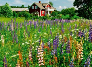 Scandinavian Places: Farm in Sweden (500) from Ravensburger – box 2 of 2