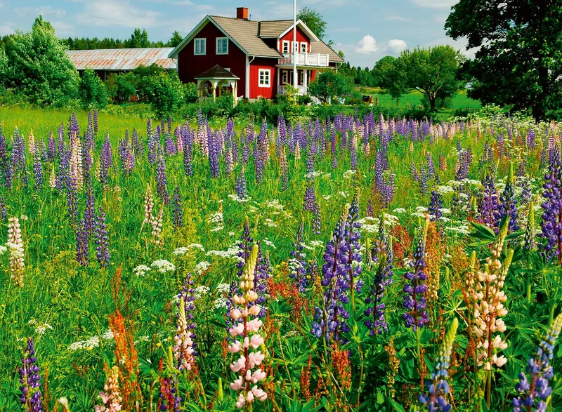 Scandinavian Places: Farm in Sweden (500) from Ravensburger – box 2 of 2