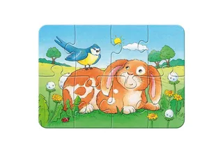 Schattige huisdieren (2, 4, 6, 8) de Ravensburger – boîte 5 sur 5