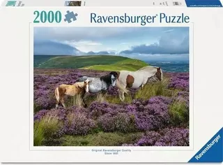 Wild Horses in the Heather (2000) from Ravensburger – box 2 of 2