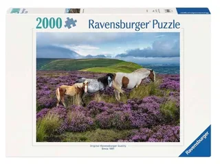 Wild Horses in the Heather (2000) from Ravensburger – box 1 of 2