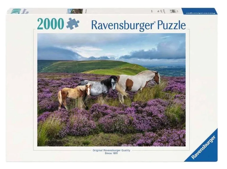 Wild Horses in the Heather (2000) from Ravensburger – box