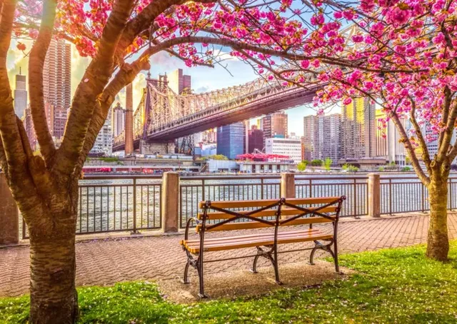 Puzzle New York, États-Unis - 500 à 999 pièces