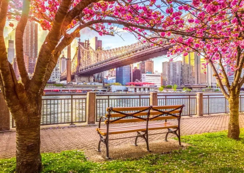 Puzzle New York, États-Unis - 500 à 999 pièces från Roovi – kartong 1 av 2