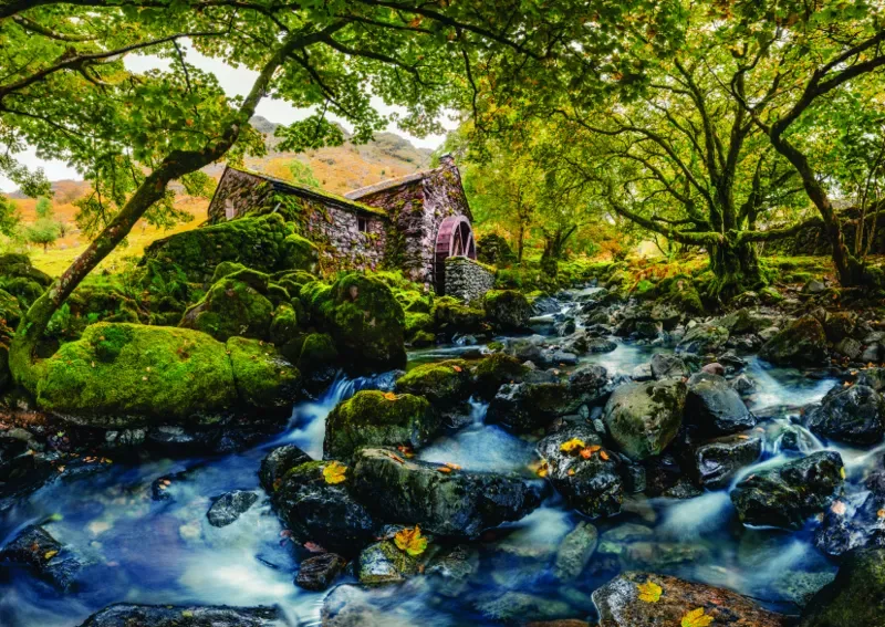 Puzzle Watermill - 1000 pièces from Roovi – box