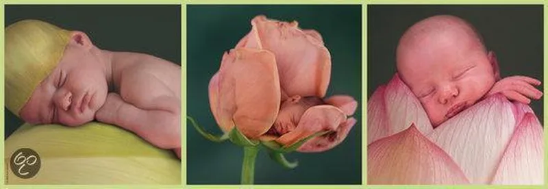 Puzzel: Anne Geddes - Tenger Wezentje van Schmidt Spiele – doos