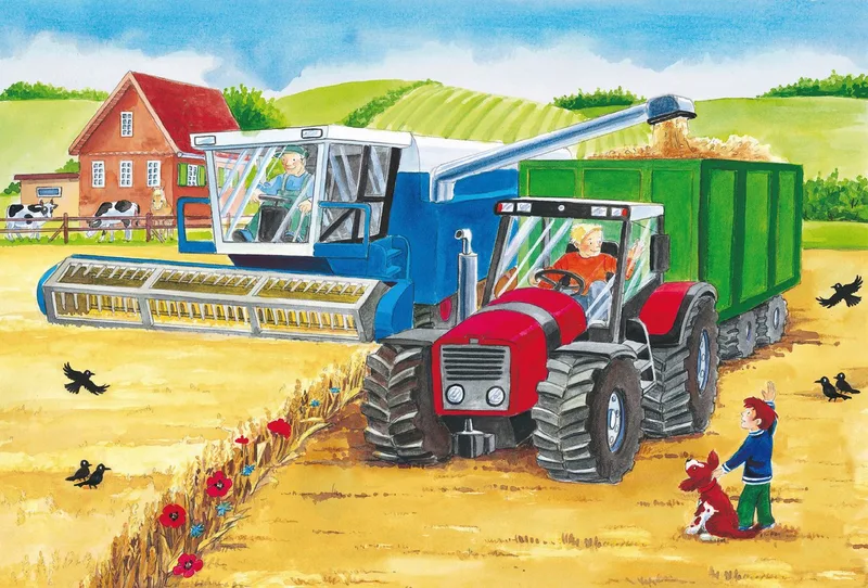 Puzzelset Boerderij - 3 Puzzels in 1 Doos - Thema Gospodarstwo - Kinderpuzzels van Schmidt Spiele, editie Meerkleurig – doos 4 van 4