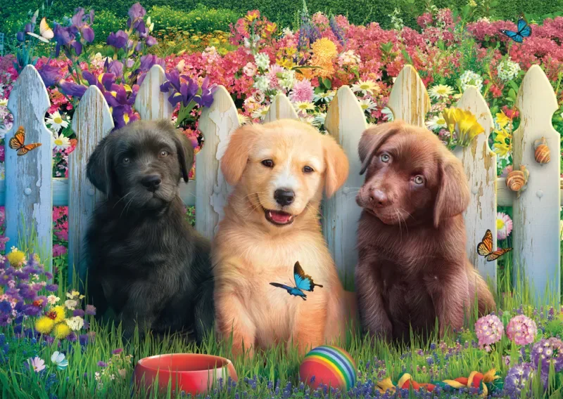 Puzzle Adorable Scène de Chiots - 1000 pièces de Schmidt Spiele – boîte