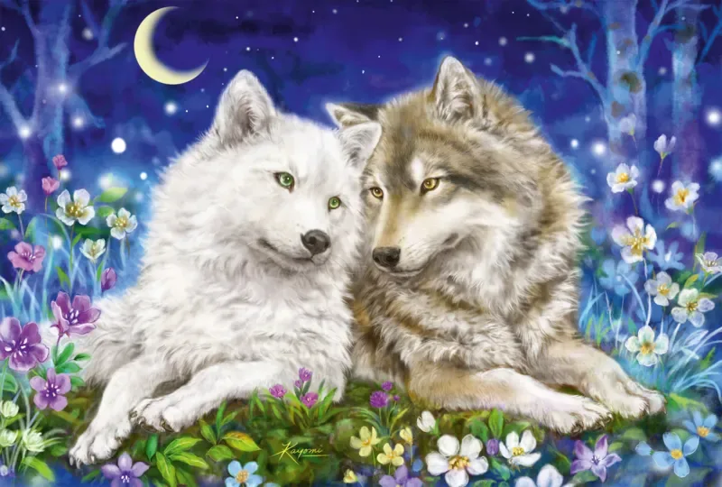 Puzzle Amitié entre Loups - 200 à 499 pièces de Schmidt Spiele – boîte 1 sur 2