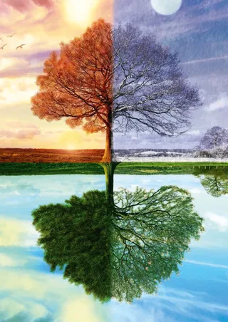 Puzzle Arbre des 4 Saisons - 500 à 999 pièces de Schmidt Spiele – boîte 1 sur 2