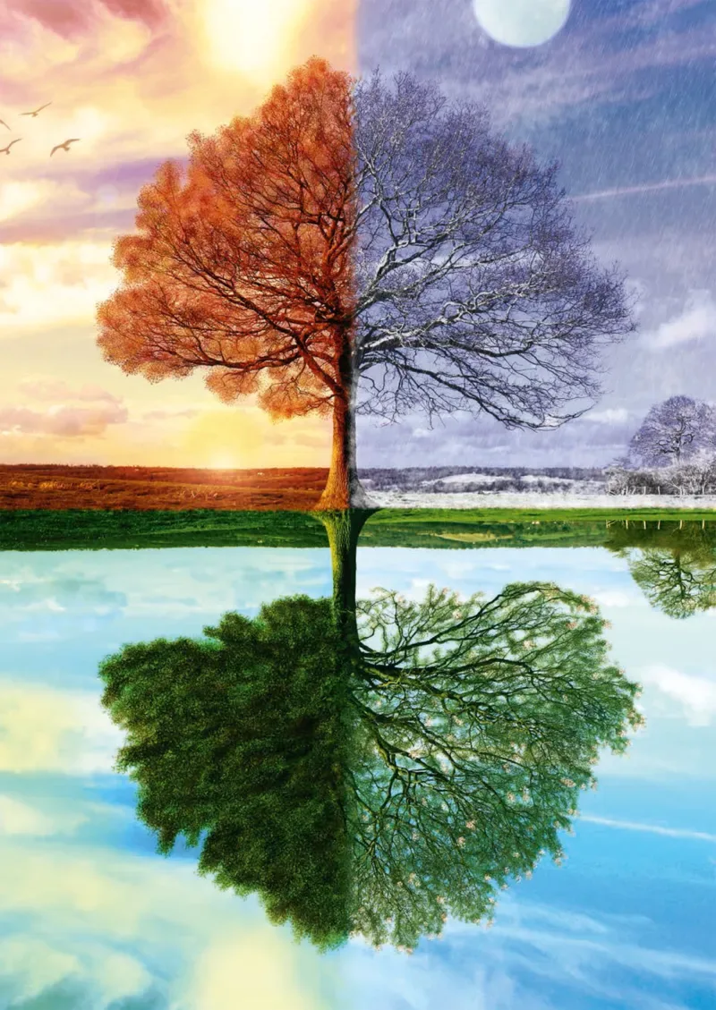 Puzzle Arbre des 4 Saisons - 500 à 999 pièces de Schmidt Spiele – boîte 1 sur 2