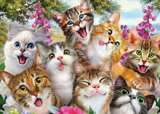 Puzzle Cats' Selfy - 500 à 999 pièces van Schmidt Spiele – doos 1 van 2
