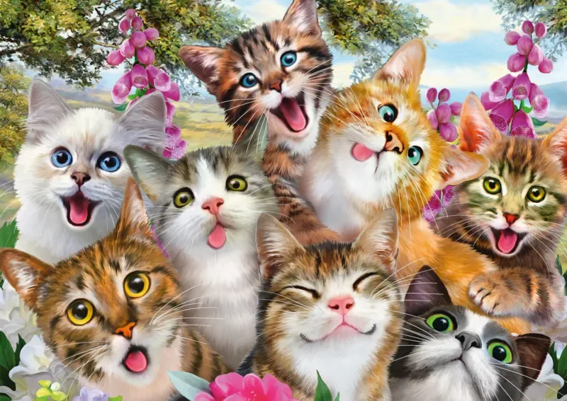 Puzzle Cats' Selfy - 500 à 999 pièces van Schmidt Spiele – doos 1 van 2
