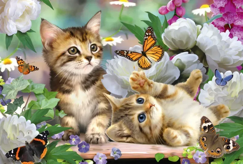 Puzzle Chatons Espiègles - 150 à 199 pièces de Schmidt Spiele – boîte 1 sur 2