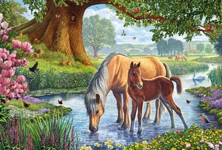 Puzzle Chevaux dans le Ruisseau - 150 à 199 pièces van Schmidt Spiele – doos 1 van 2