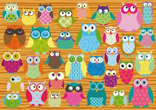 Puzzle Eulen Collage, 500 Puzzleteile de Schmidt Spiele – boîte 2 sur 2