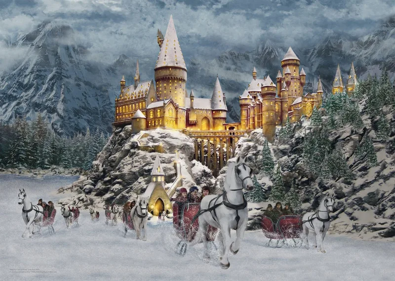 Puzzle Harry Potter™ Hogwarts™ Castle, 1000 Puzzleteile, Made in Germany de Schmidt Spiele, édition Multicolore – boîte 2 sur 4