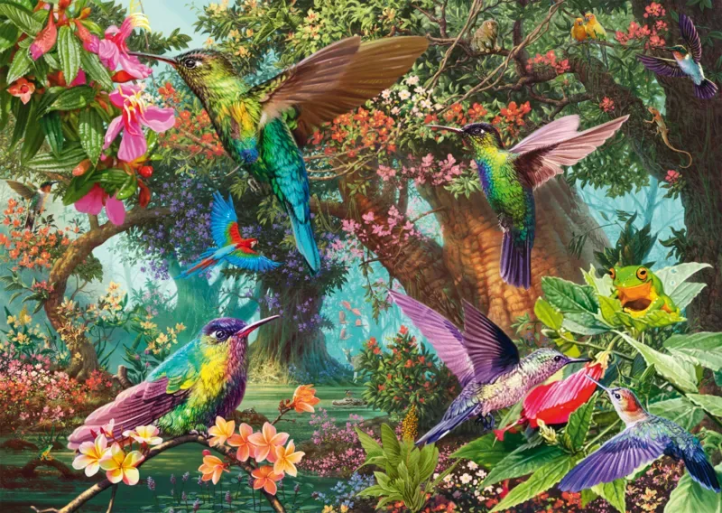 Puzzle Jeu de Couleurs du Colibri - 1000 pièces de Schmidt Spiele – boîte 1 sur 2