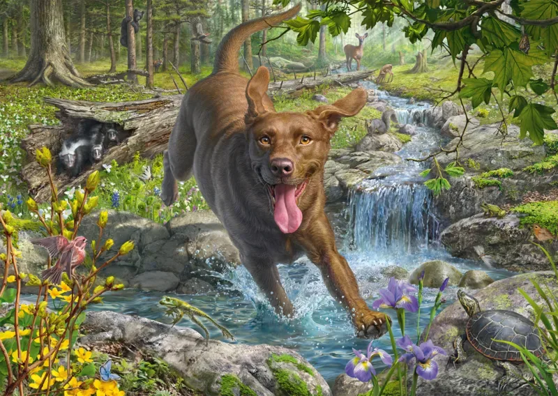 Puzzle Mark Fredrickson - Retriever au Printemps - 1000 pièces de Schmidt Spiele – boîte 1 sur 2