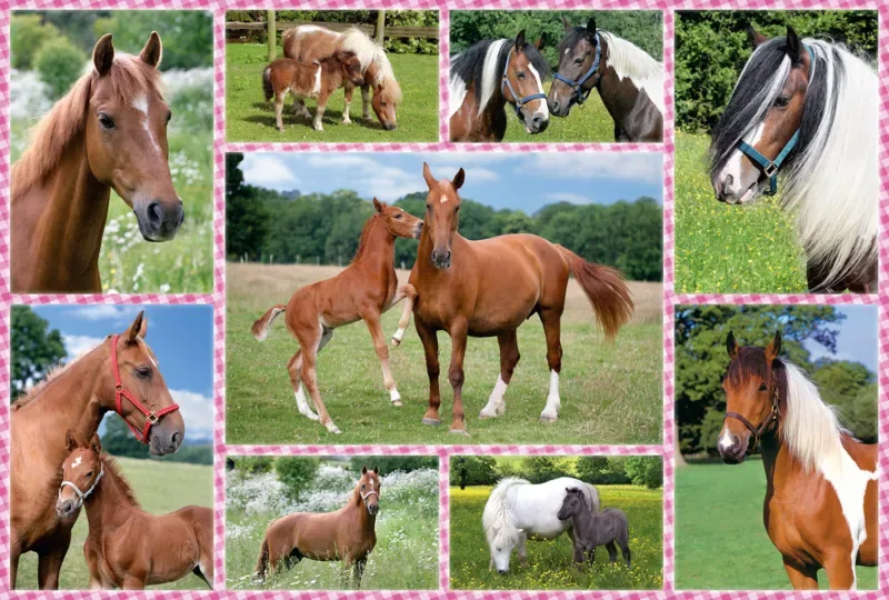 Puzzle Rêves de Cheval - 150 à 199 pièces van Schmidt Spiele – doos 1 van 2