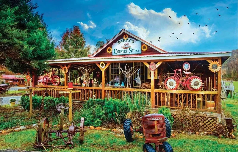 Pappy's General Store - 1000 stukjes - Legpuzzel van SunsOut, editie Meerkleurig – doos