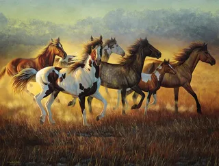 Puzzle Cynthia Fisher - Running with the Wind - 500 à 999 pièces fra SunsOut – æske 1 af 2
