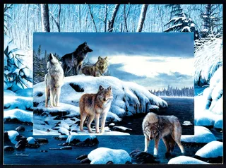 Puzzle Kevin Daniel - Ice Wolves - 1000 pièces de SunsOut – boîte 1 sur 2