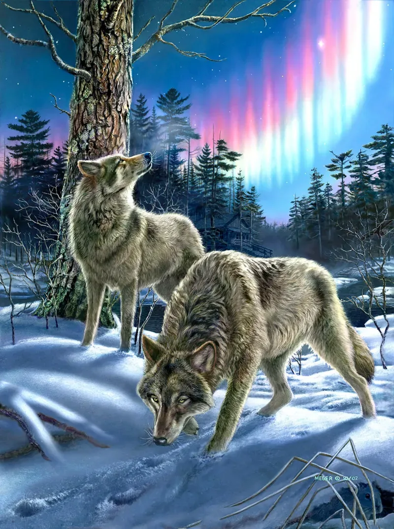 Puzzle Loups sous l'Aurore - 1000 pièces de SunsOut – boîte 1 sur 2