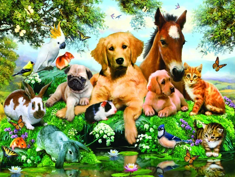 Puzzle Pièces XXL - Les Amis de l'Été - 500 à 999 pièces de SunsOut – boîte 1 sur 2