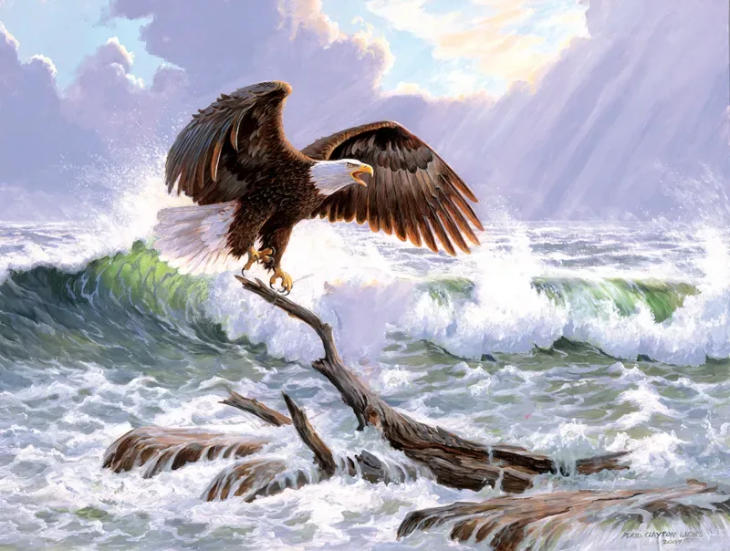 Puzzle Pièces XXL - Mer Majestueuse - 500 à 999 pièces de SunsOut – boîte 1 sur 2