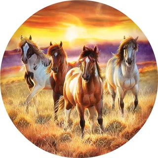 Puzzle Pièces XXL - Running in the Sun - 500 à 999 pièces de SunsOut – boîte 1 sur 2