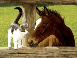 Puzzle Pièces XXL - Whiskery Hello - 500 à 999 pièces van SunsOut – doos 1 van 2