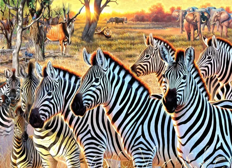 Puzzle Pièces XXL - Zèbres Et Amis - 500 à 999 pièces de SunsOut – boîte 1 sur 2