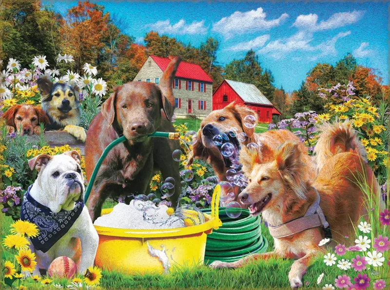 Puzzle Sports d'eau - 1000 pièces van SunsOut – doos 1 van 2