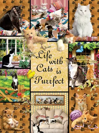 Puzzle Une Vie Parfaite grâce aux Chats - 1000 pièces from SunsOut – box 1 of 2
