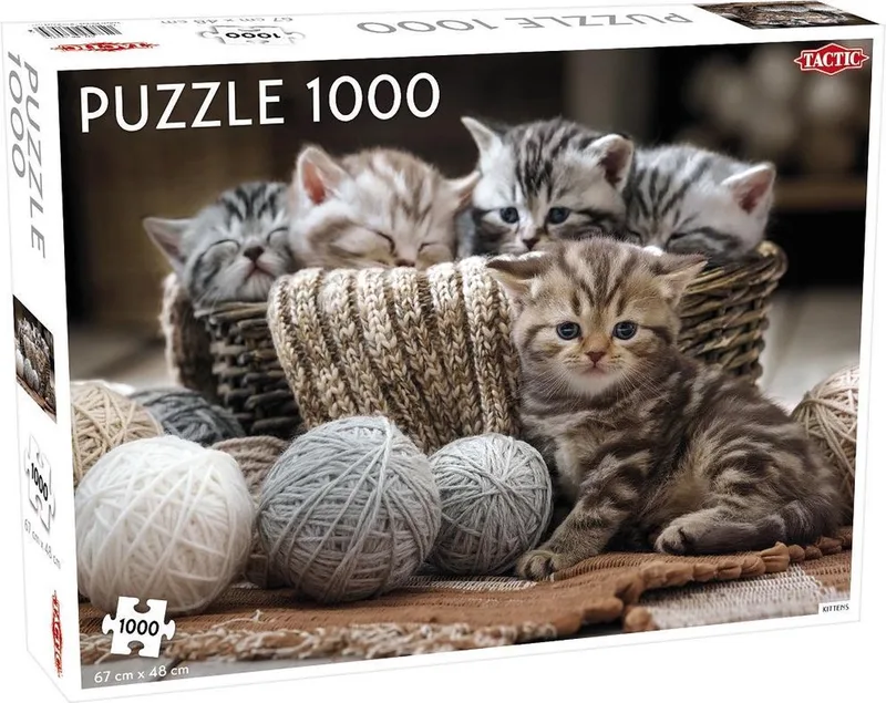 Cute Kittens - 1000 stukjes from Tactic, Cute Kittens edition – box