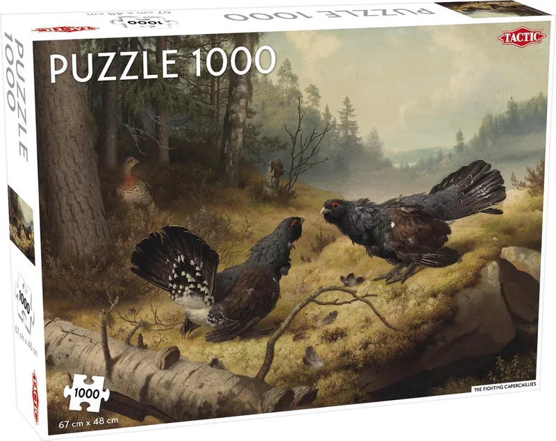 Puzzel – 1000 stukjes – Dynamische Natuurillustratie – Strak en Rustgevend Ontwerp – Hoogwaardige Scandinavische Kwaliteit van Tactic, editie Fighting Capercailles – doos
