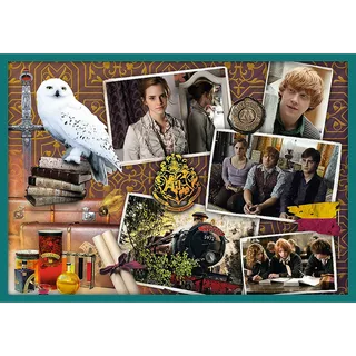 10-in-1 puzzel - 20/35/48 stukjes from Trefl, Harry Potter edition – box 2 of 4