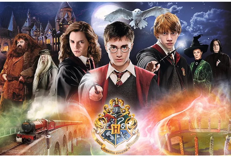Harry Potter puzzel - 300 stukjes - legpuzzel film. van Trefl, editie Meerkleurig – doos
