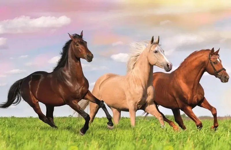 Mini Puzzel 54 Stuks - Paarden Wereld van Trefl, editie Meerkleurig – doos